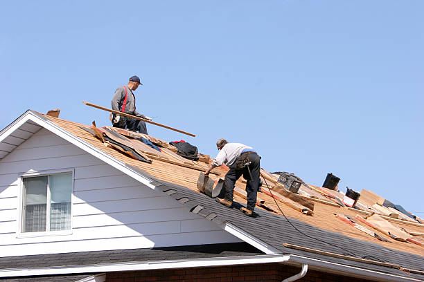 Sheet Metal Roofing in Lake Park, NC