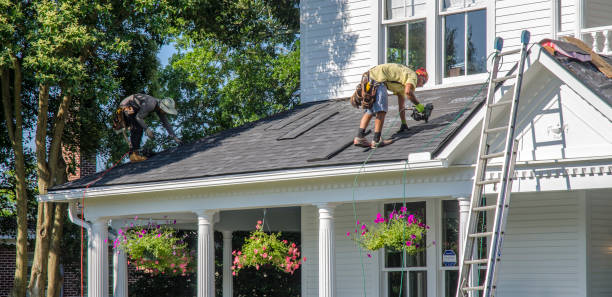 Best Chimney Flashing Repair  in Lake Park, NC